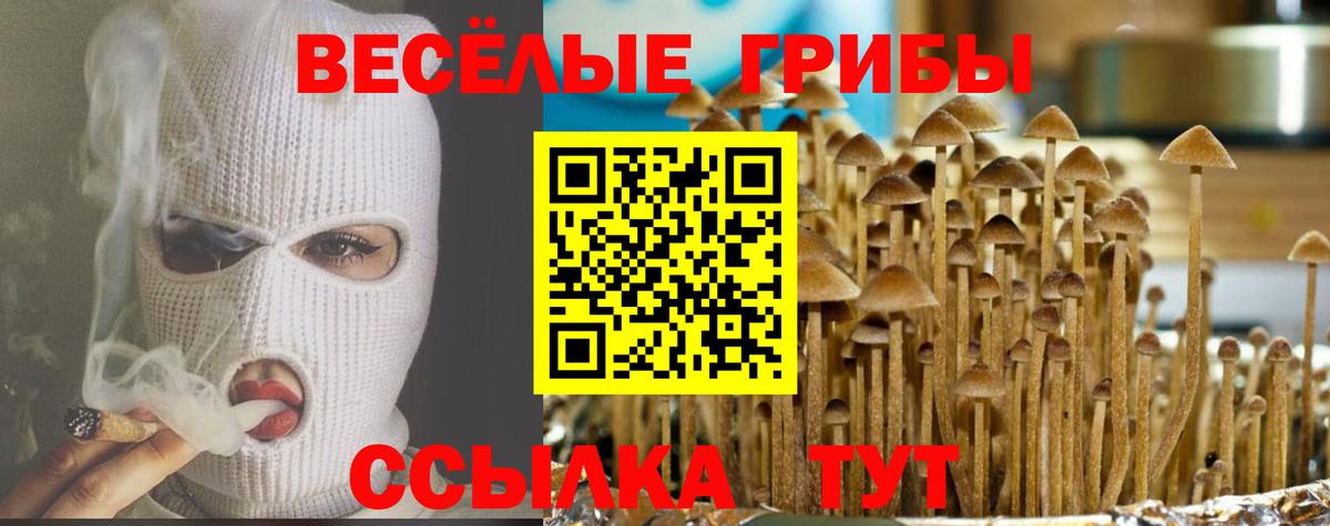 Галлюциногенные грибы Psilocybine cubensis  Вход с VPN  Малоярославец 